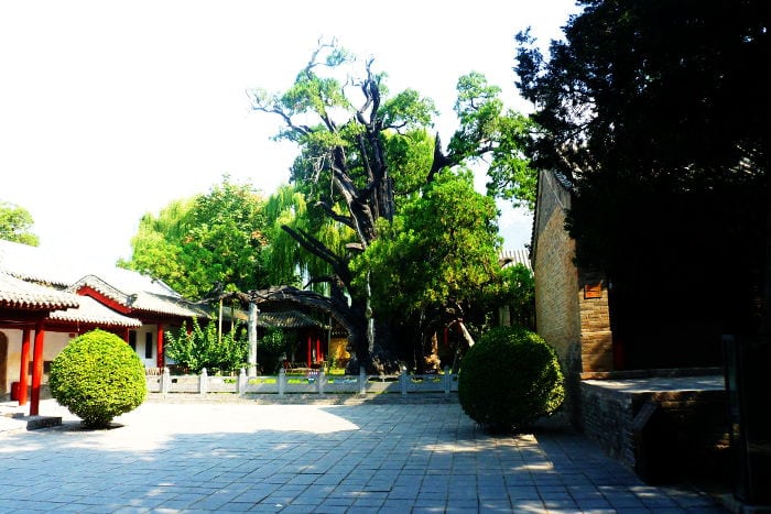 The Shaolin Temple: The Mecca of Chinese Kung Fu